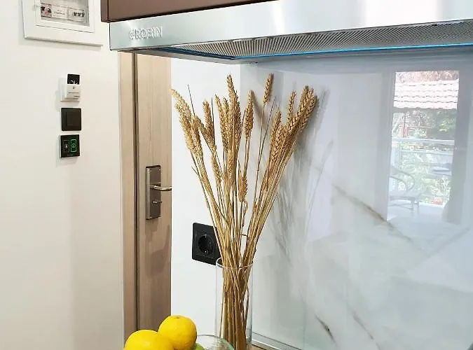 Sofia Fresh Daire Limenaria (Thasos)