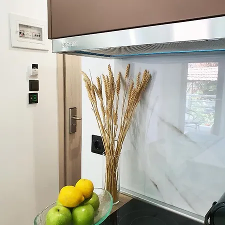 Sofia Fresh Apartament Limenaria (Thasos)
